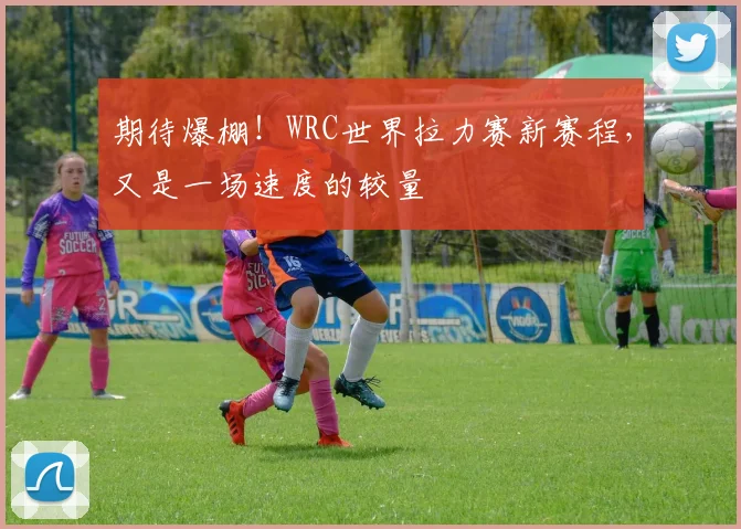 期待爆棚!WRC世界拉力赛新赛程,又是一场速度的较量