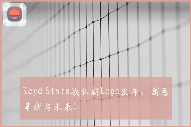 Keyd Stars战队新Logo发布,寓意革新与未来!